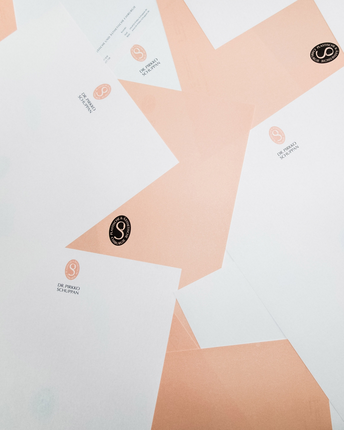 Dr. Pirkko Schuppan Corporate Identity